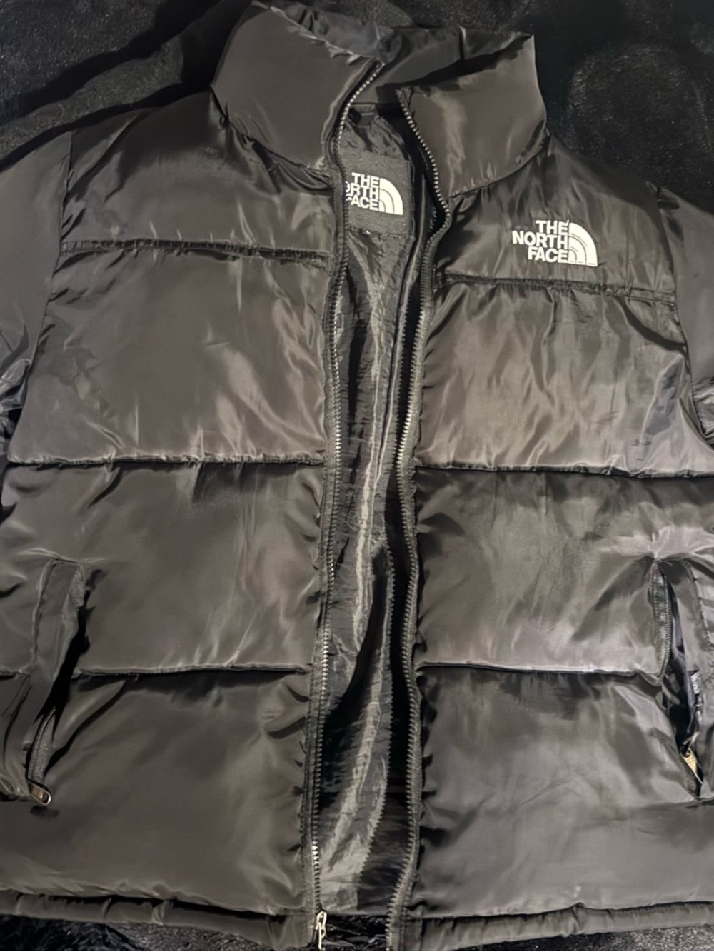 The North Face Black Insulated Puffer Jacket with White Logo
